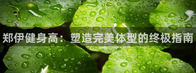 意昂2官方网站