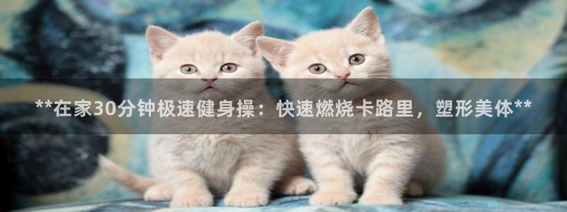 意昂2娱乐