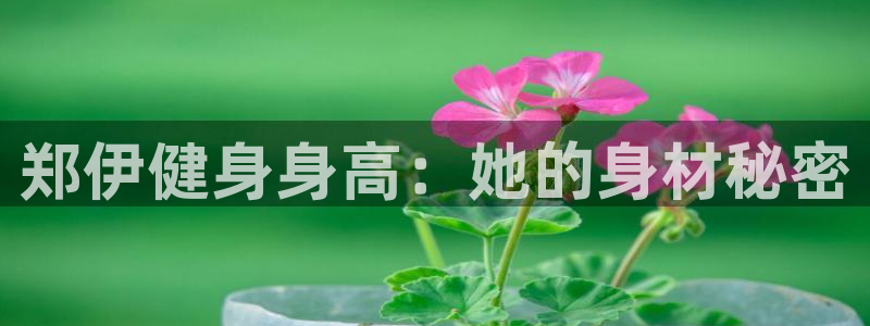意昂2娱乐