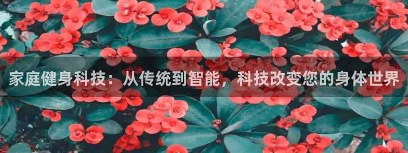 意昂2娱乐